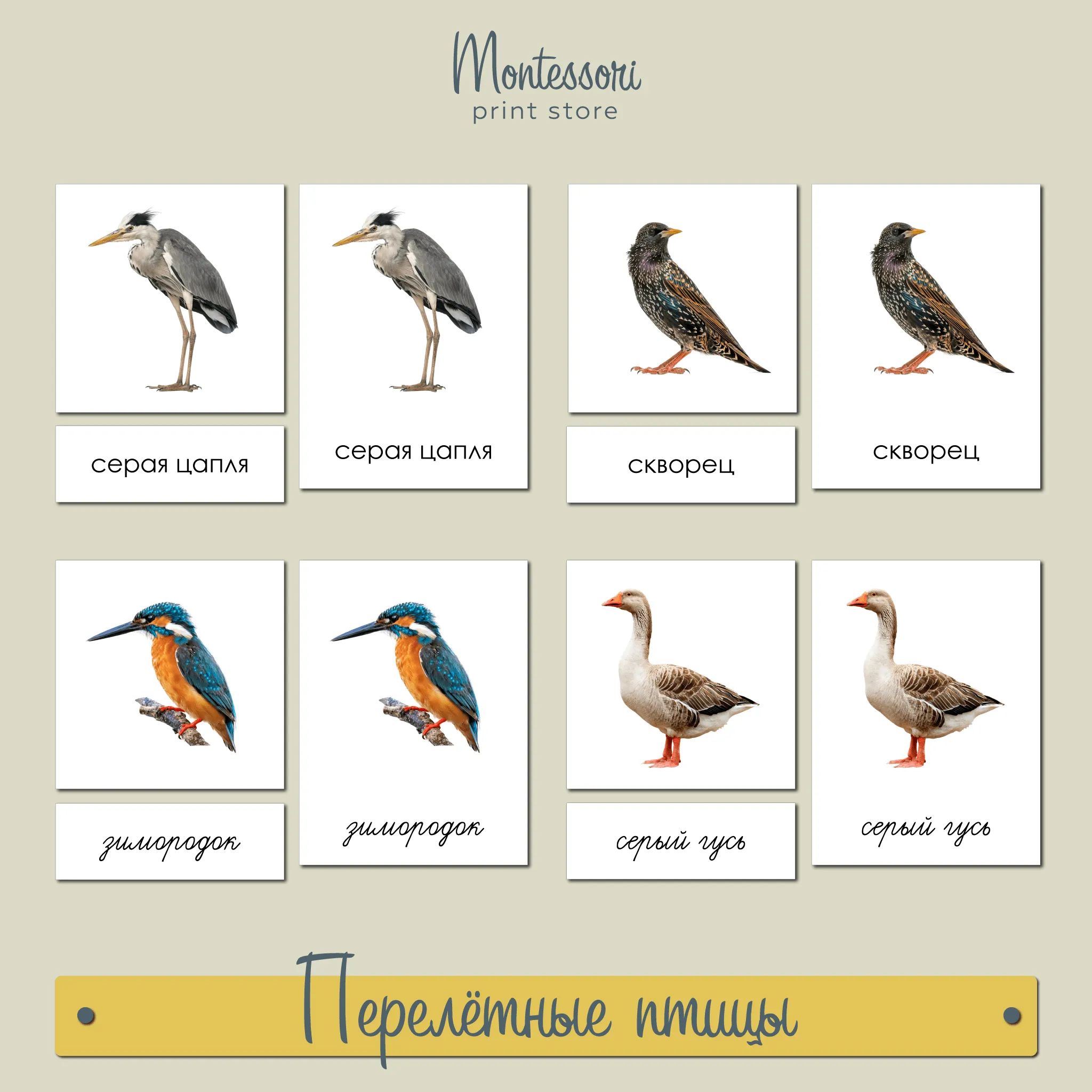 Перелетные птицы карточки