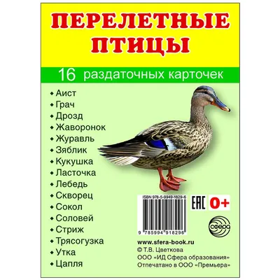 Демонстрационные картинки Супер. Перелетные птицы.16 раздаточных карточек с  текстом - Бук-сток картинки