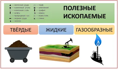 Перевернутый класс Селезневой Елены: ПОЛЕЗНЫЕ ИСКОПАЕМЫЕ картинки