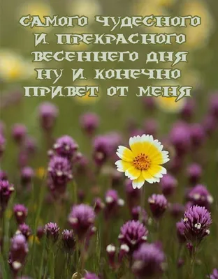 Картинка: Самого чудесного весеннего дня ну и конечно, привет от меня! картинки