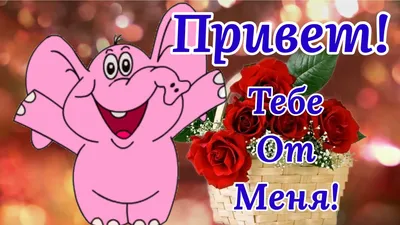 Тебе Привет От Меня! Улыбнись! Музыкальная Открытка Для Тебя! - YouTube картинки