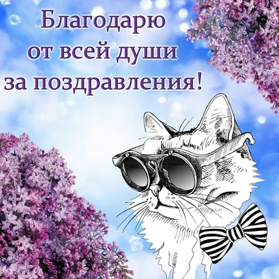 Спасибо за поздравления картинки очень красивые • Полный список  поздравлений и пожеланий на любой праздник или торжество картинки