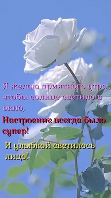 Идеи на тему «Доброе утро» (510) | доброе утро, открытки, утренние цитаты картинки