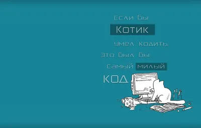 Обои минимализм, компьютеры, Котики, программирование картинки на рабочий  стол, раздел кошки - скачать картинки