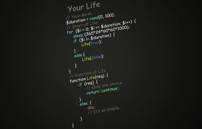 Обои программирование, функция жизни, скрипт картинки на рабочий стол,  раздел hi-tech - скачать картинки