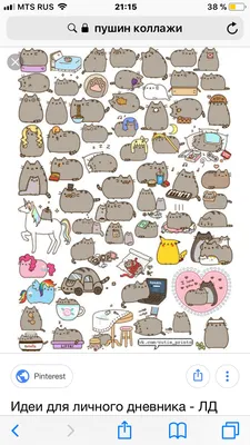 Пушин Кэт Коллажи Pusheen The Cat | Пушин, Милые котики, Милые идеи картинки