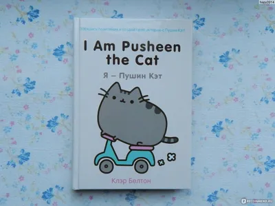 Я - пушин кэт / I Am Pusheen the Cat. Клэр Белтон - «Очаровательная Пушин  расскажет все тайны о вашей кошке (＾• ω •＾)» | отзывы картинки