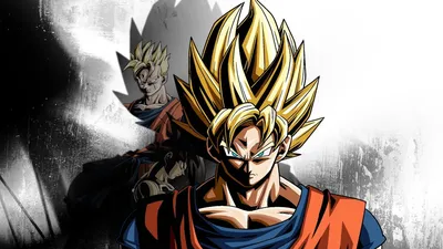 Dragon Ball Xenoverse бесплатно получен в Pikkon в 2021 г. картинки