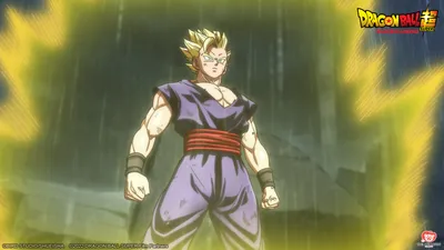 Crunchyroll - ИНТЕРВЬЮ: Dragon Ball Adult Gohan VA Кайл Хеберт об идеальном балансе между мозгом и мускулами картинки