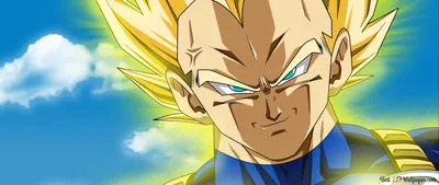 Dragon Ball Z - Vegeta 4K Wallpaper eroflueden картинки