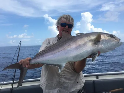 Большой амберджек - Рекорд штата - Поймал и отпусти - Texas Fishing Forum картинки