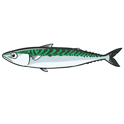 Сардина PNG прозрачные изображения скачать бесплатно | Векторные файлы | Pngtree картинки