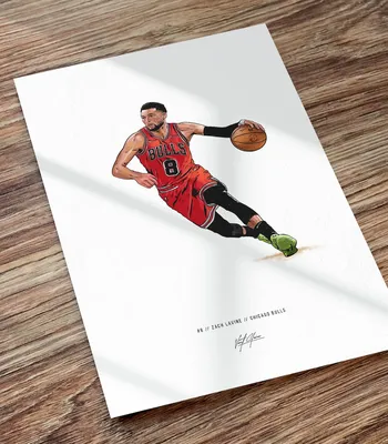 Иллюстрированный принт Zach Lavine Chicago Bulls Basketball Art - Etsy UK картинки