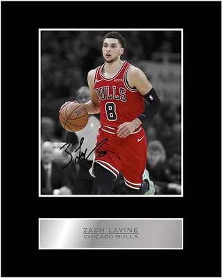 Zach LaVine Print Подписанный смонтированный фотовыставка № 01 Печатный автограф Фотопринт картинки