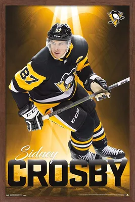 Trends International NHL Pittsburgh Penguins - настенный плакат Sidney Crosby 18, версия в серебряной рамке, 22.375 \ картинки