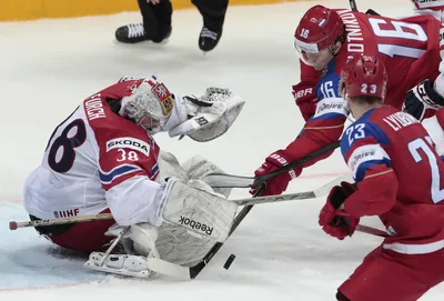 Сергей Плотников 🏒 хоккеист. картинки