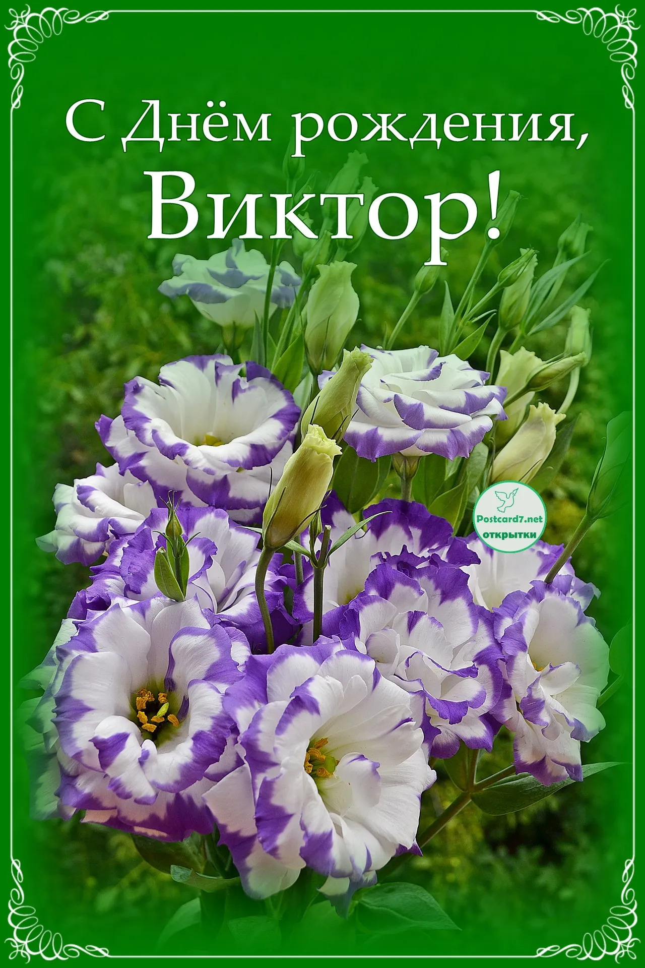 С днем рождения виктор