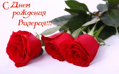 Картинка С днем рождения Валерия » День рождения » Праздники » Картинки 24  - скачать картинки бесплатно картинки