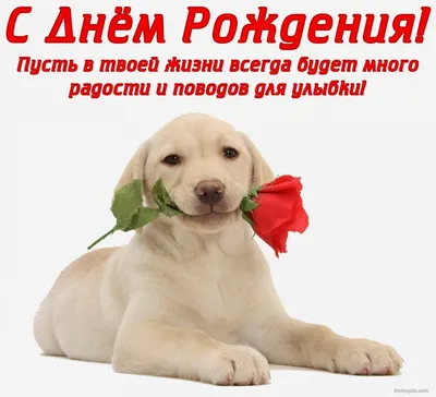 Открытки с днем рождения ульяне (72 фото) картинки