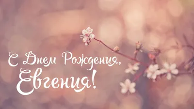 Открытки с днем рождения Евгения🎉скачать бесплатно! картинки