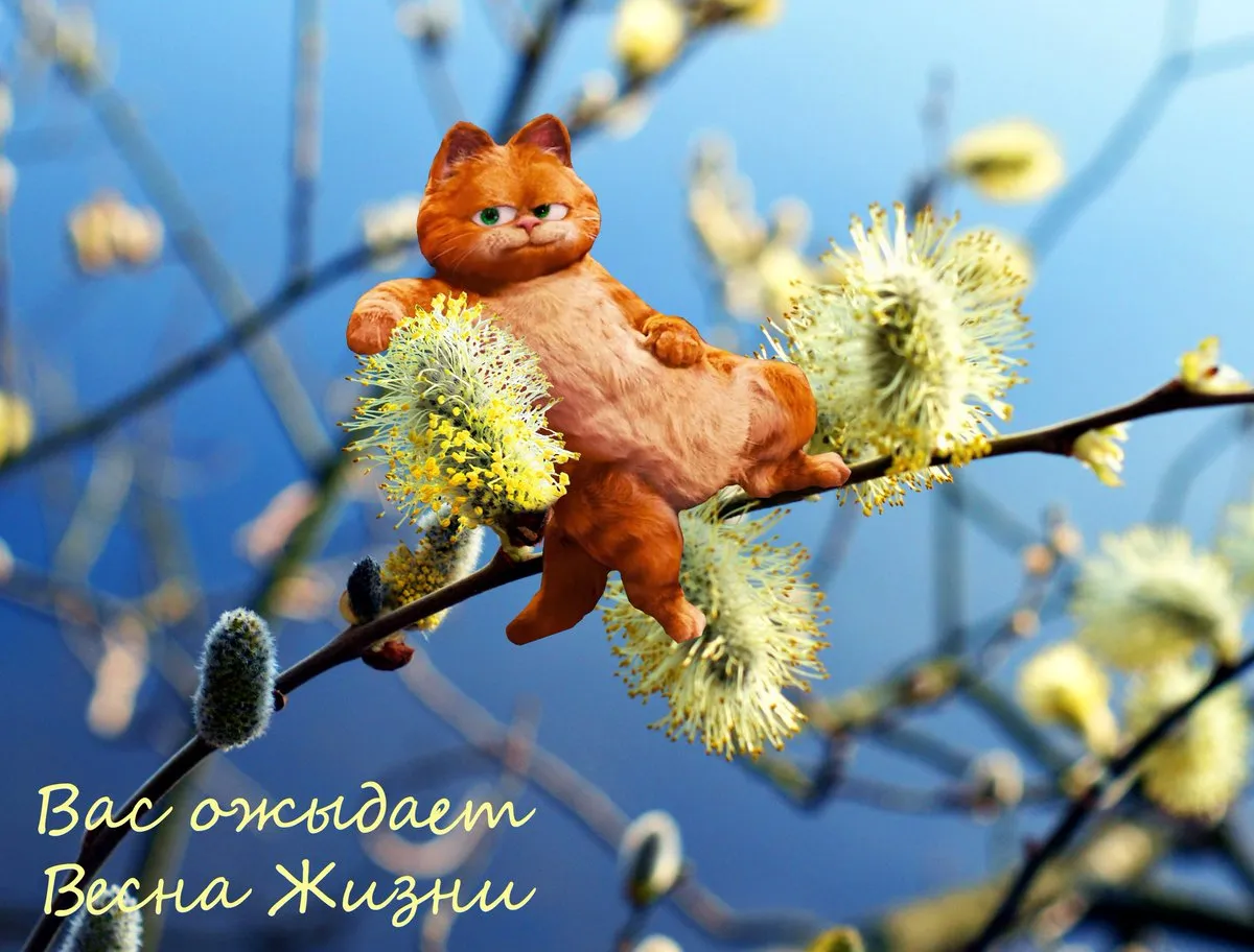 С днем рождения регина открытки