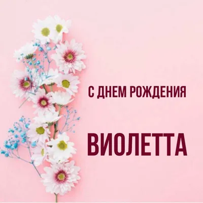 С Днем рождения Виолетта картинки