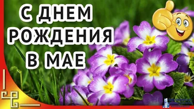 Дни Рождения » Общественная палата городского округа Мытищи картинки