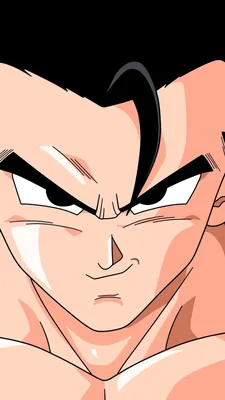 Скачать обои ID: 412312 / Аниме Dragon Ball Z Phone Wallpaper, Gohan (Dragon Ball), 1080x1920 скачать бесплатно картинки