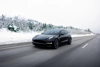 Tesla Model 3 — самый эффективный автомобиль 2022 года, Model Y — 3-е место картинки