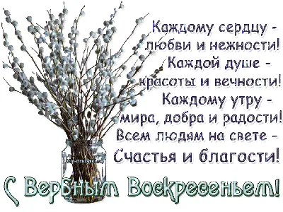 Открытка с музыкой Вербное Воскресенье | Музыкальные Открытки Бесплатно картинки