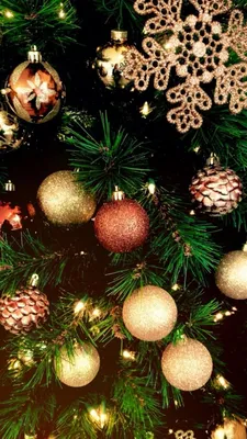 Обои, новый год #обои #новыйгод #елка #украшения #соня | Christmas  wallpaper hd, Christmas wallpaper, Christmas tree box картинки