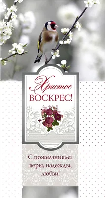 Открытка 10х20 - Христос воскрес! (двойная), 59.00 Р - христианские книги и  подарки картинки