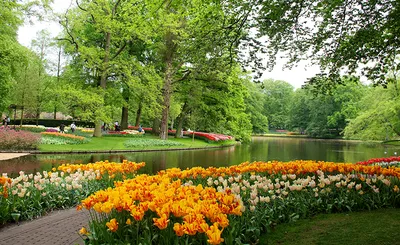 Обои для рабочего стола Нидерланды Keukenhof Gardens Природа картинки