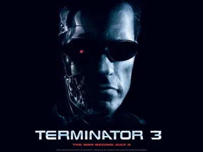 Обои 1024 на 768 к фильму Терминатор 3: Восстание машин | Terminator 3:  Rise of the Machines #574 | KINOMANIA.RU картинки