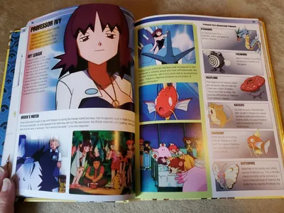 Pokémon Visual Companion, второе издание | eBay картинки