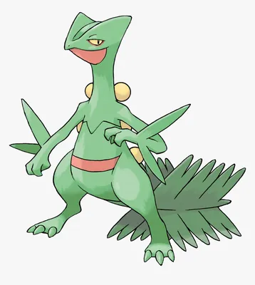 Sceptile - Pokemon Sceptile, HD Png Download, Transparent Png Image - PNGitem картинки