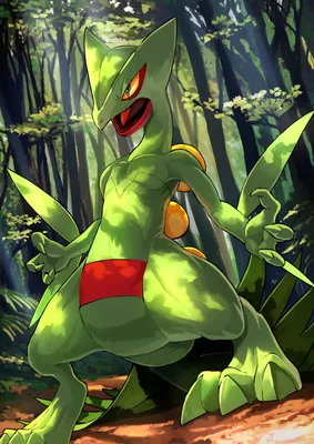 sceptile (покемон), нарисованный karamimame | Данбуру картинки