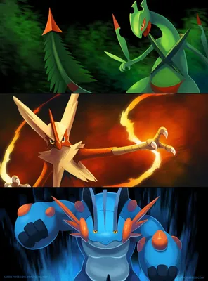 VectorinoMan ☀️ on Twitter: \"🍃🌊🌋\"Mega Hoenn\"🌋🌊🍃 (Art by arkeis)tumblr #Pokemon #Sceptile #Blaziken #Swampert #art https://t.co/7ykJczhcXr\" / Twitter картинки