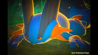 Swampert - Photodex - New Pokémon Snap Wiki - Гриндозавр картинки