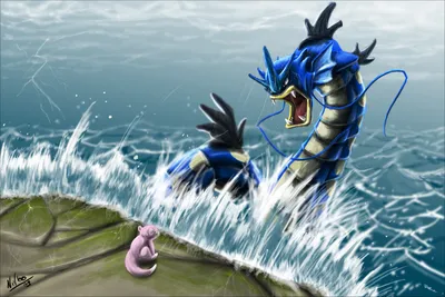 20+ Gyarados (Pokémon) HD Wallpapers und Hintergründe картинки