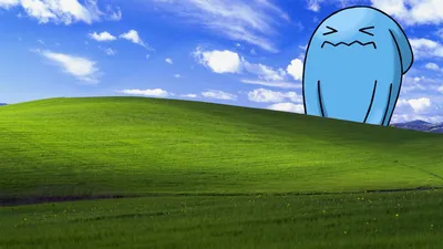 Обои Wobbuffet x Windows XP (горячие) (сексуальные) (пошли не так) (чуть не убили) - Imgur картинки