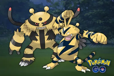 День сообщества Pokémon Go: Shiny Electabuzz, время начала и все, что вам нужно знать картинки