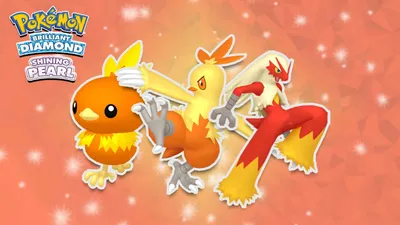 Как получить Torchic, Combusken, Blaziken в Pokemon Brilliant Diamond & Shining Pearl - Dexerto картинки