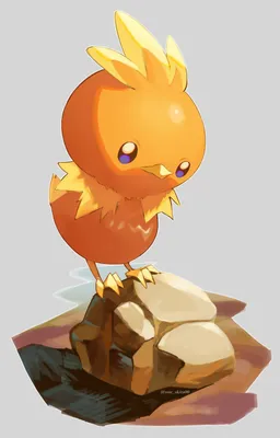 torchic (покемон), нарисованный ame_akira | Данбуру картинки