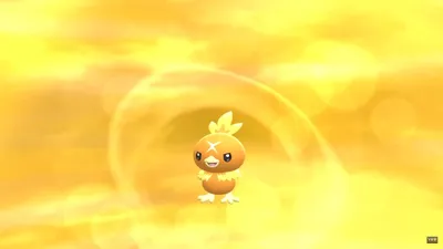 Torchic от Pokémon Mystery Dungeon: Ginji's Rescue [Pokemon Brilliant Diamond and Shining Pearl] [Моды] картинки