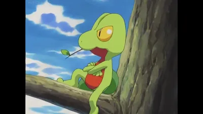 treecko и grovyle (покемон), нарисованные karamimame | Данбуру картинки