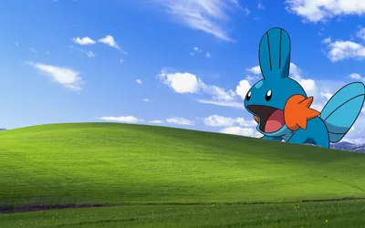 покемон мудкип блаженство windows xp майкрософт виндовс 1680x1050 Технологии Windows HD Art #pokemon #mudkip #7… | Пикачу обои, Смешные обои, Обои на рабочий стол картинки