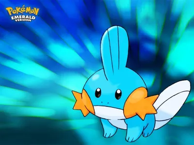 Pokemon Mudkip Wallpapers - Топ бесплатных фонов Pokemon Mudkip картинки