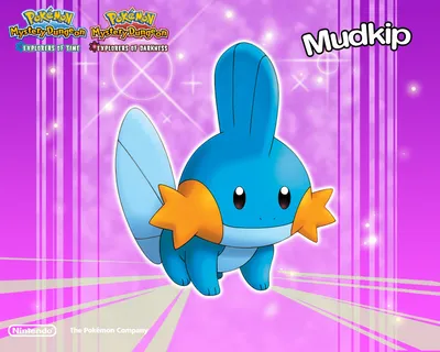 Mudkip Pokemon Mystery Dungeon Wallpaper - Обои Pokemon - Cartoon Watcher - бесплатные обои Pokemon картинки