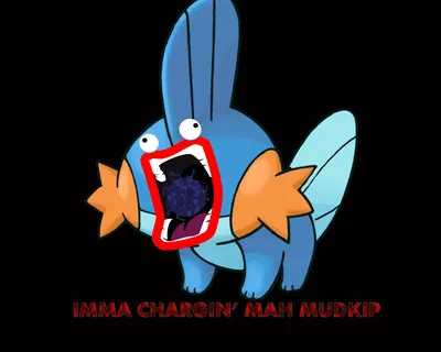 Mudkip Pokemon Wallpaper - Разрешение: 1280x1024 - ID: 730918 - wallha.com картинки